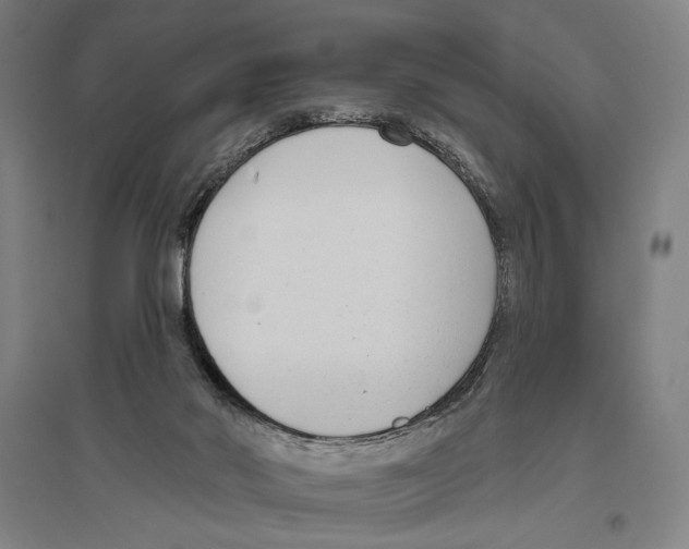 X0000096630022200803041114