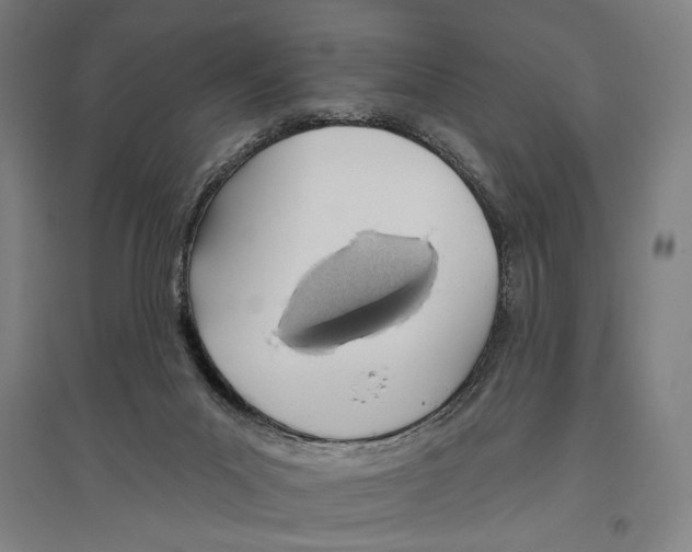 X0000096630023200803041114