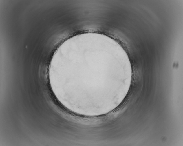 X0000096630024200803041114