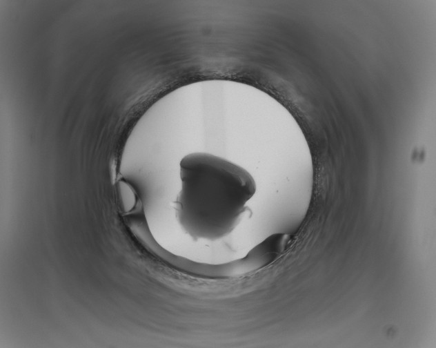 X0000096630027200803041114