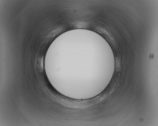 X0000096630028200803041114