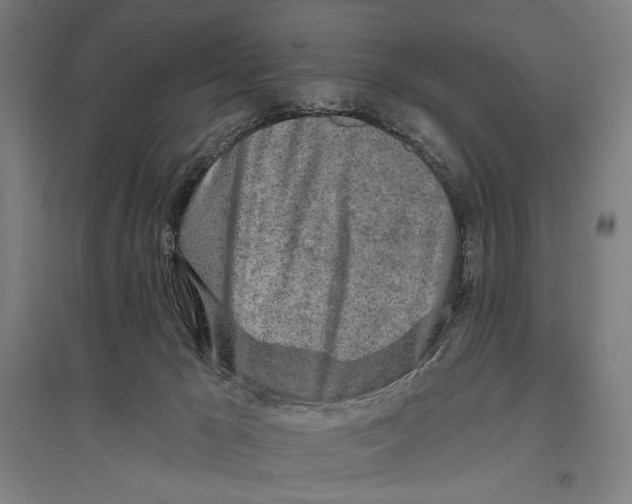 X0000096630029200803041114