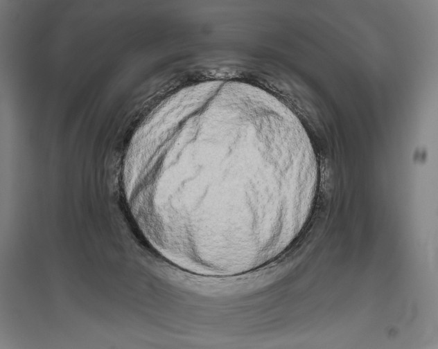 X0000096630030200803041114
