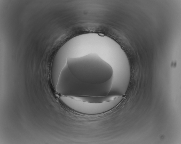 X0000096630031200803041114