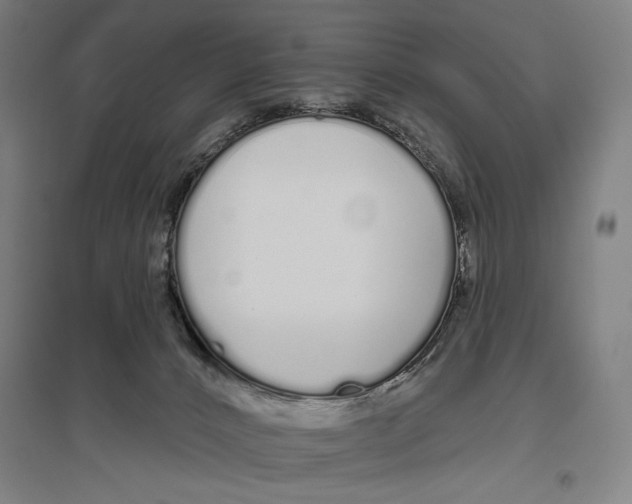 X0000096630032200803041114