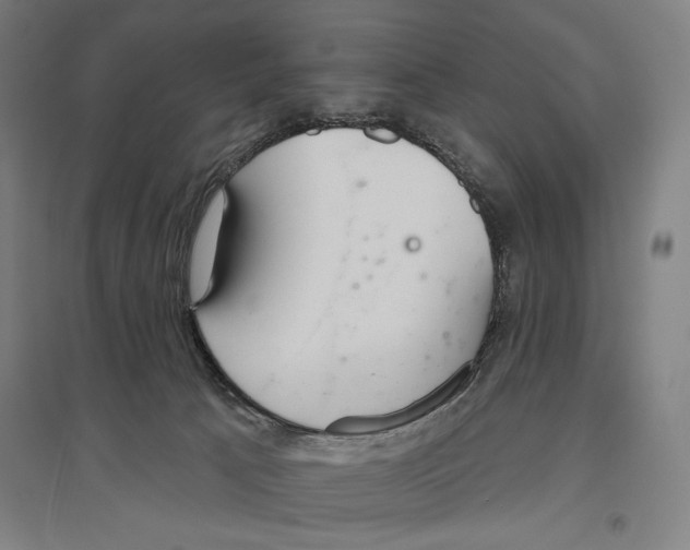 X0000096630033200803041113