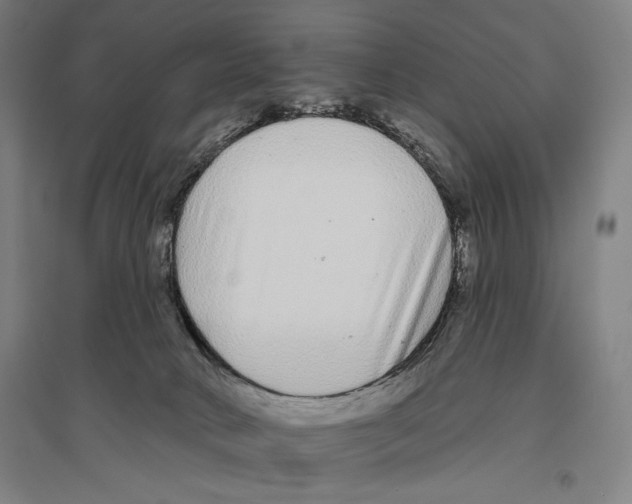 X0000096630034200803041113