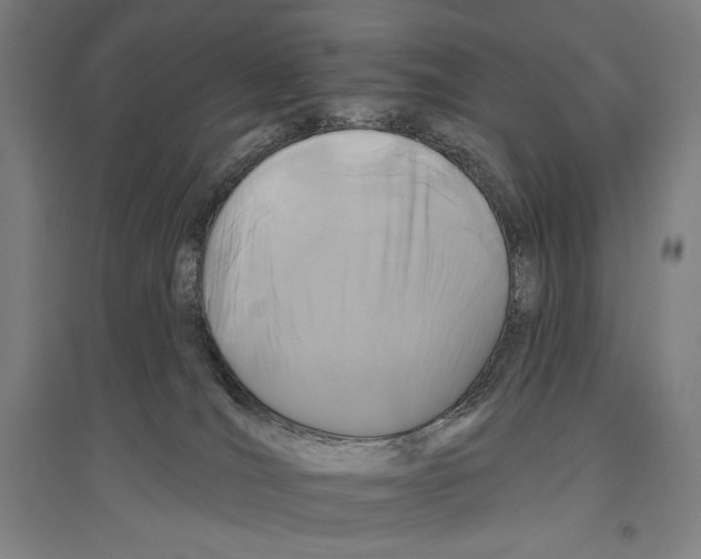 X0000096630036200803041113