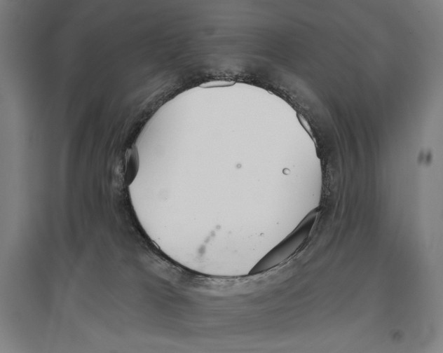 X0000096630037200803041113