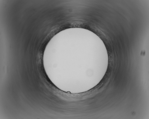 X0000096630038200803041113