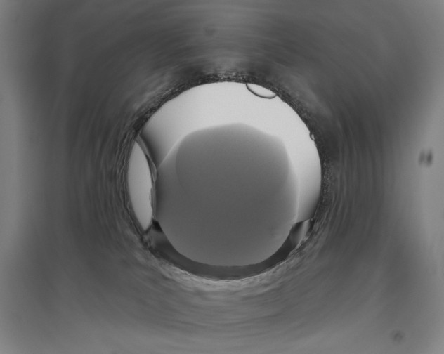 X0000096630039200803041113