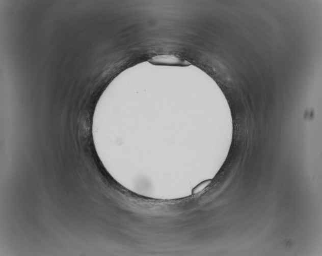 X0000096630040200803041113