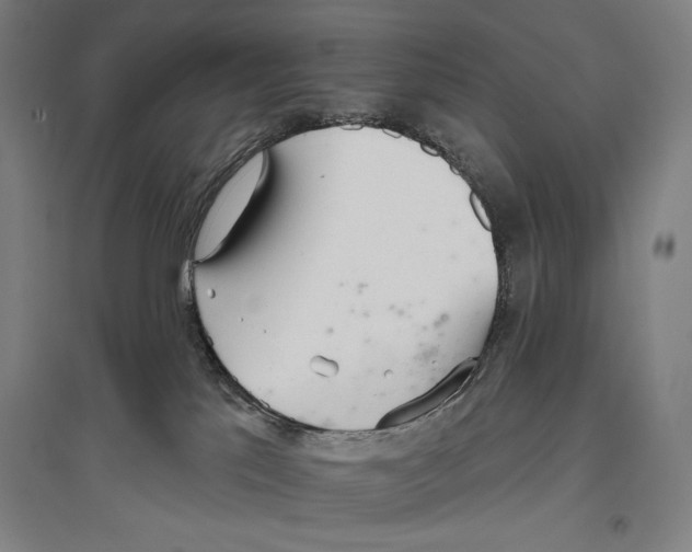 X0000096630041200803041113