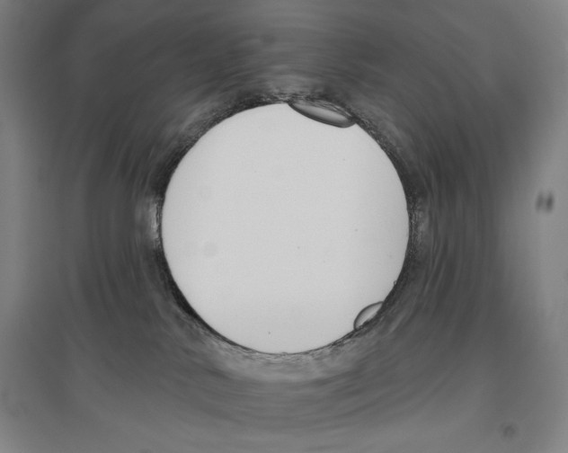 X0000096630042200803041113
