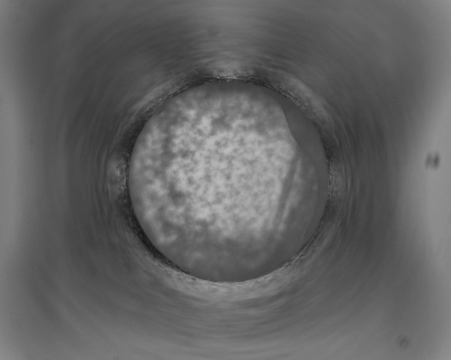 X0000096630043200803041113