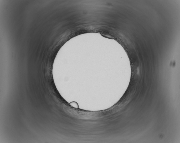 X0000096630044200803041113