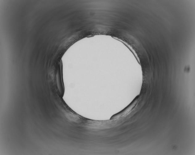 X0000096630045200803041113