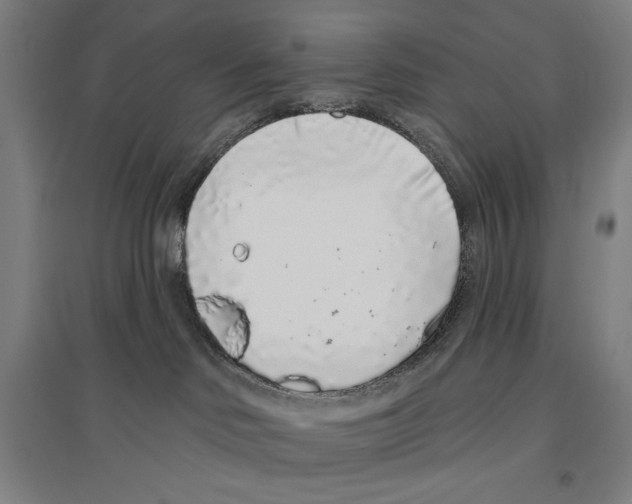 X0000096630046200803041113
