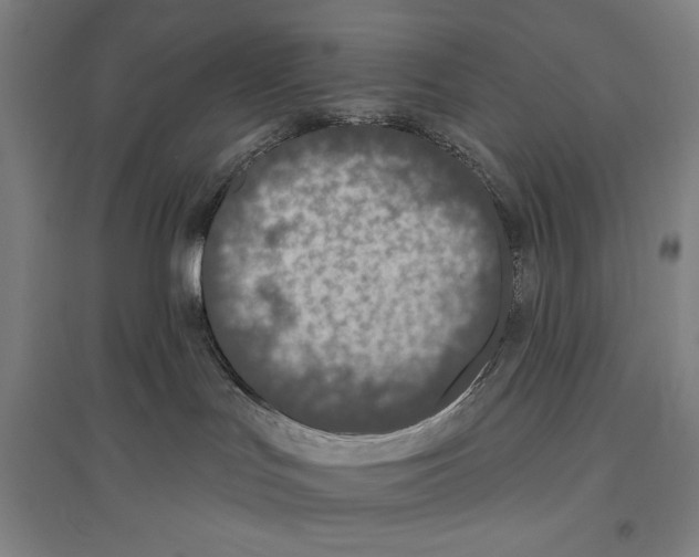 X0000096630047200803041113