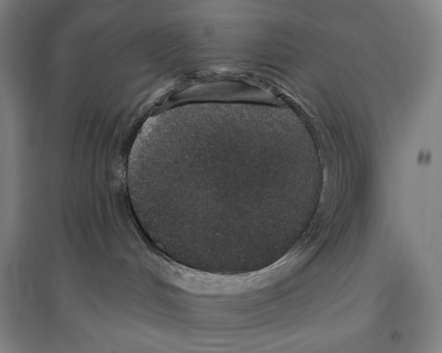 X0000096630048200803041113