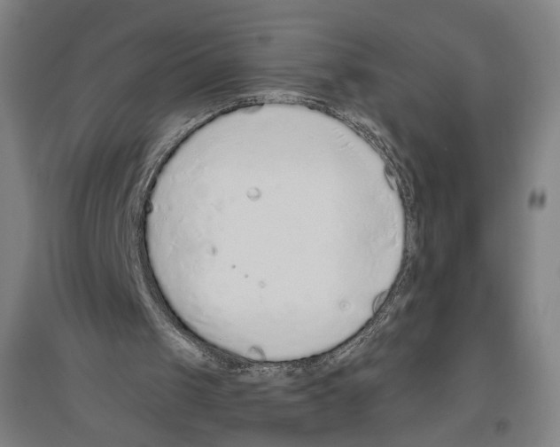 X0000096630049200803041113