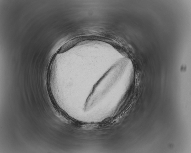X0000096630051200803041113