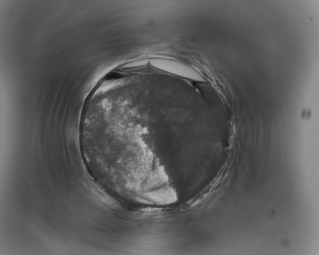 X0000096630052200803041113