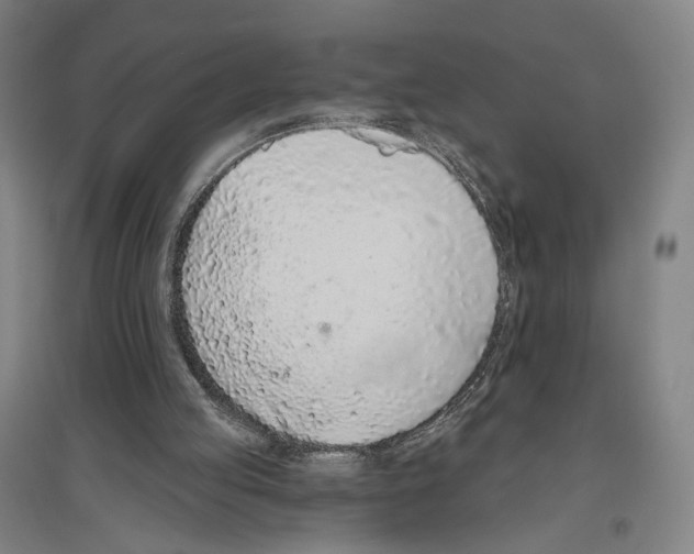 X0000096630053200803041113