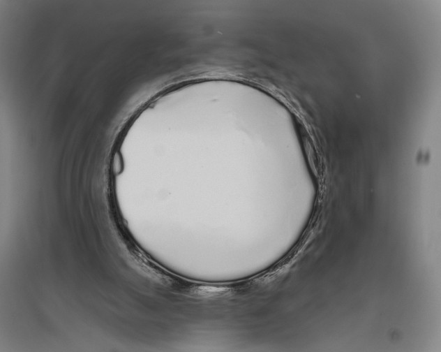 X0000096630055200803041113