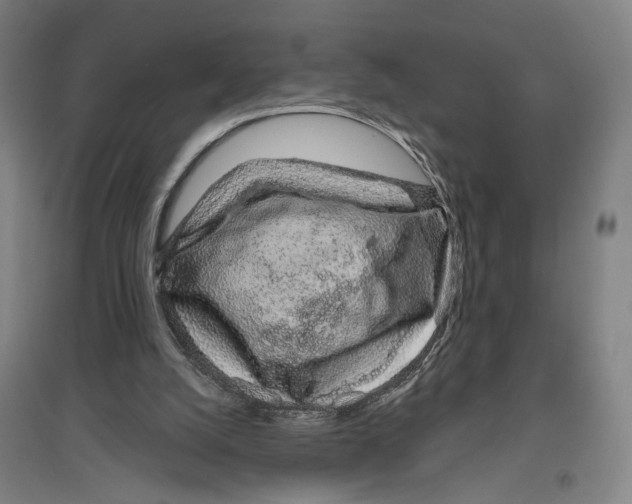 X0000096630056200803041113