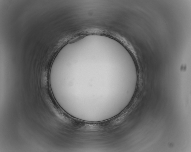 X0000096630057200803041113