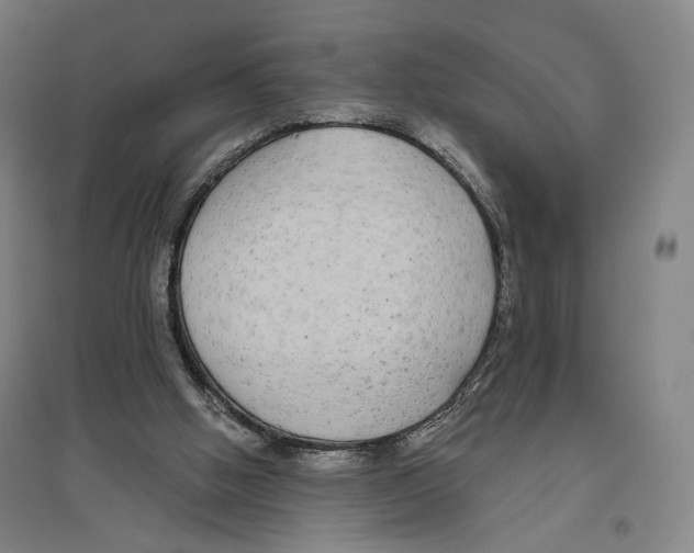 X0000096630058200803041113