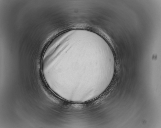 X0000096630059200803041113