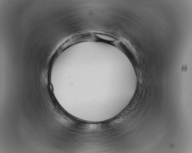 X0000096630060200803041113