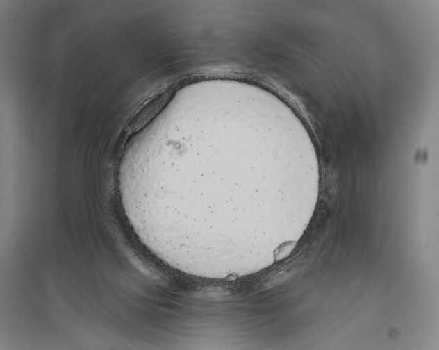X0000096630061200803041113