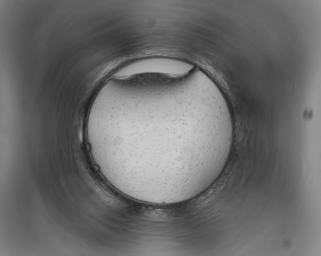 X0000096630062200803041113