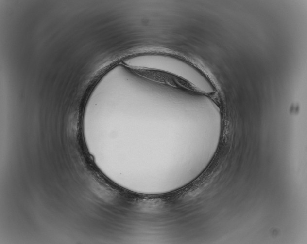 X0000096630063200803041113