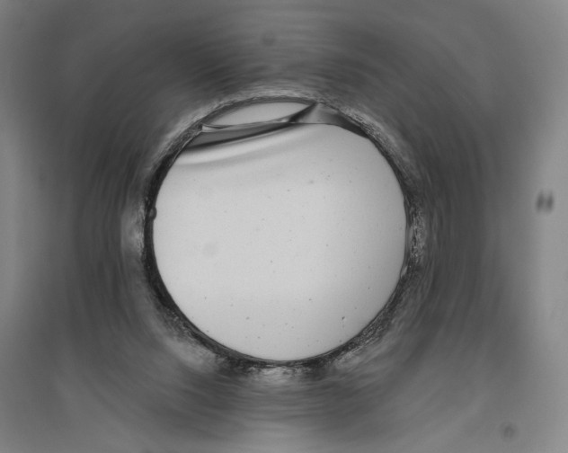 X0000096630064200803041113
