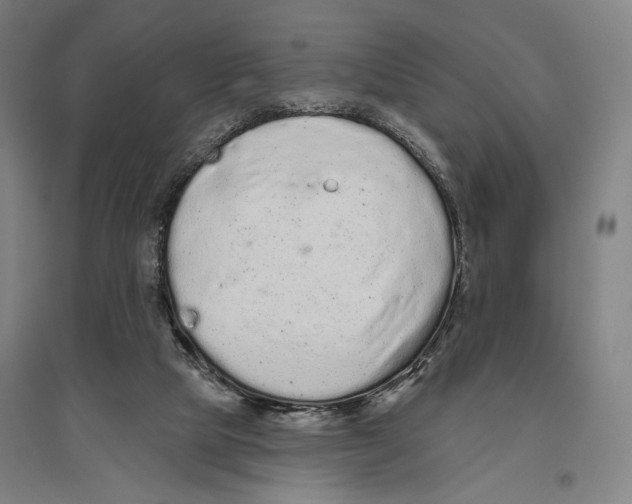 X0000096630065200803041113