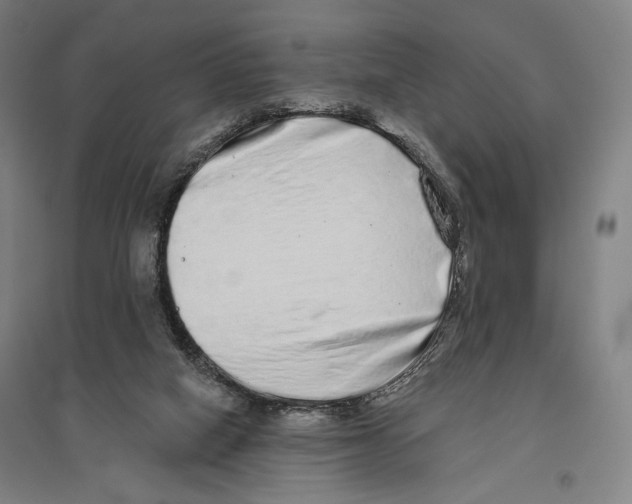 X0000096630066200803041113