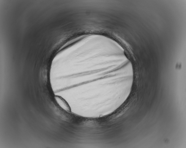 X0000096630067200803041113