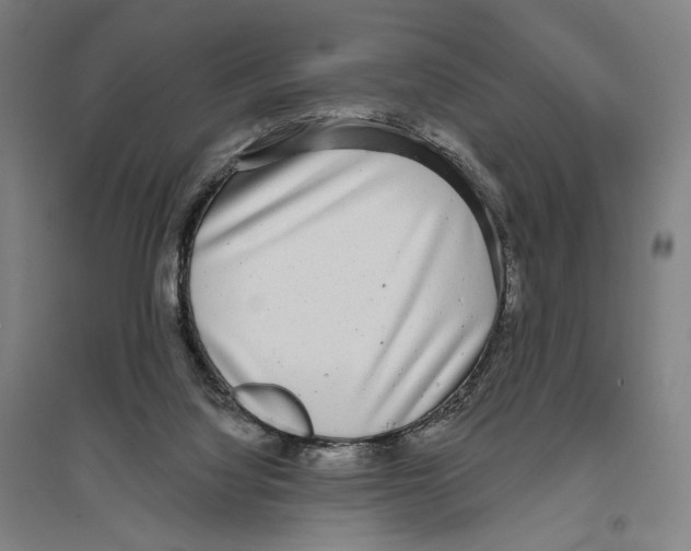 X0000096630068200803041113