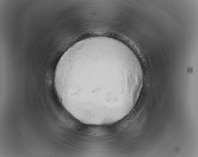 X0000096630069200803041113