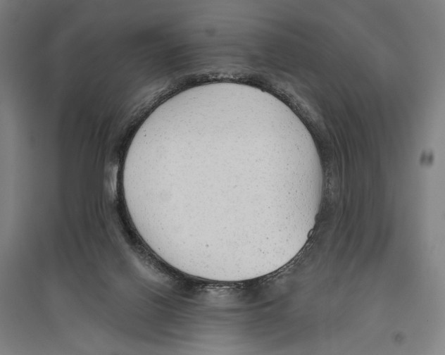 X0000096630070200803041113