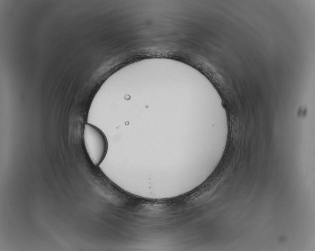 X0000096630071200803041113