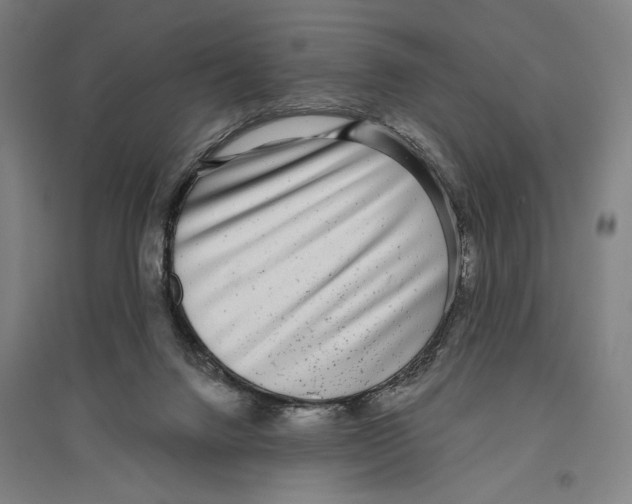 X0000096630072200803041113