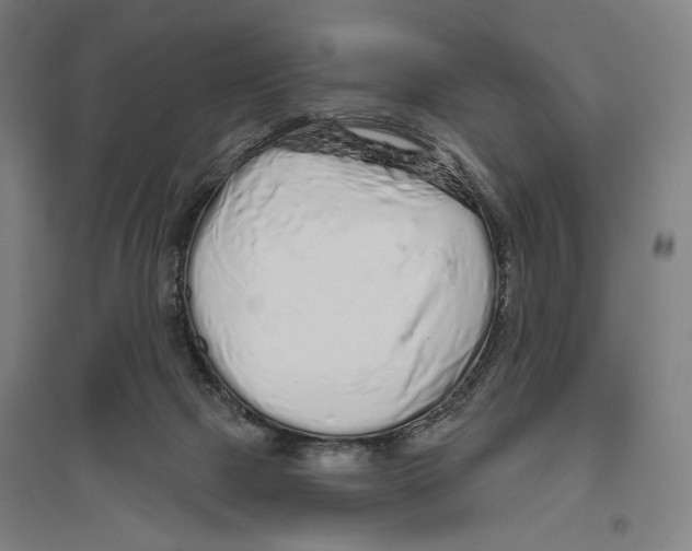 X0000096630073200803041113