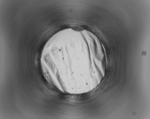 X0000096630074200803041113