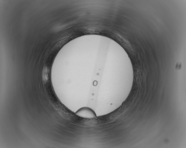 X0000096630075200803041113