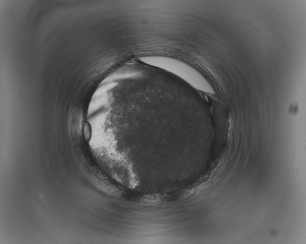 X0000096630076200803041113